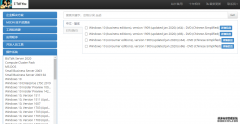 msdn下载Windows 10版本选择